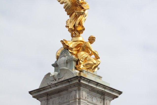 popular-golden-mister.jpg